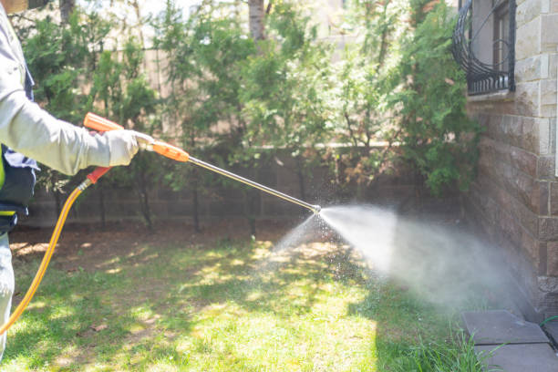 Best Mosquito Control  in Thornwood, NY